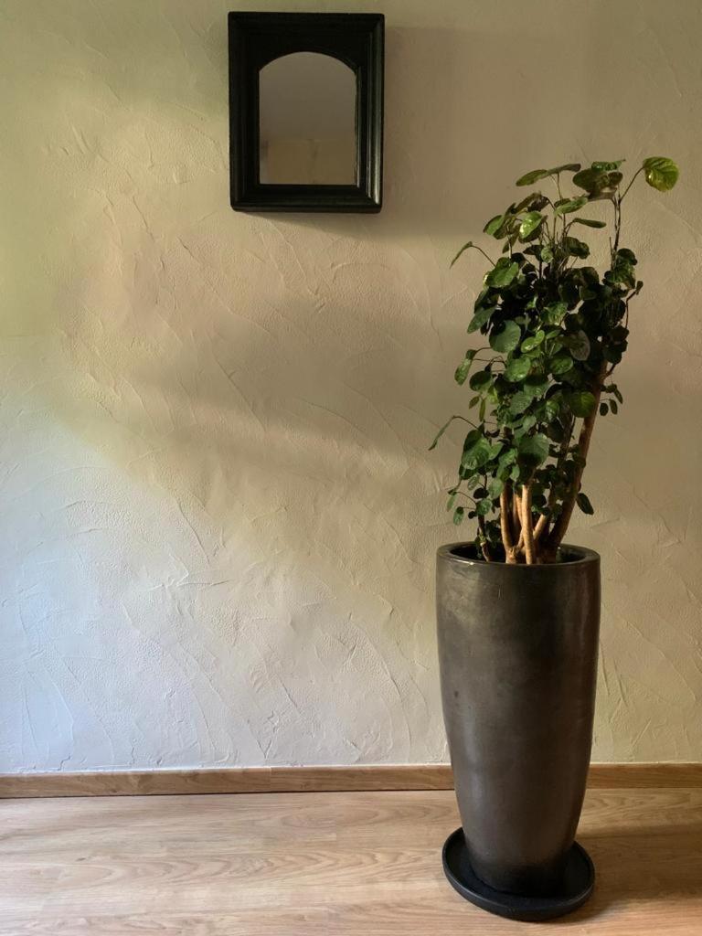 King Room with Garden View