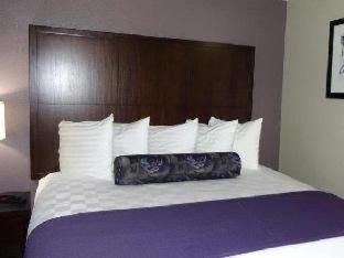 IBAN Hotel, Trademark Collection by Wyndham, 사진 2