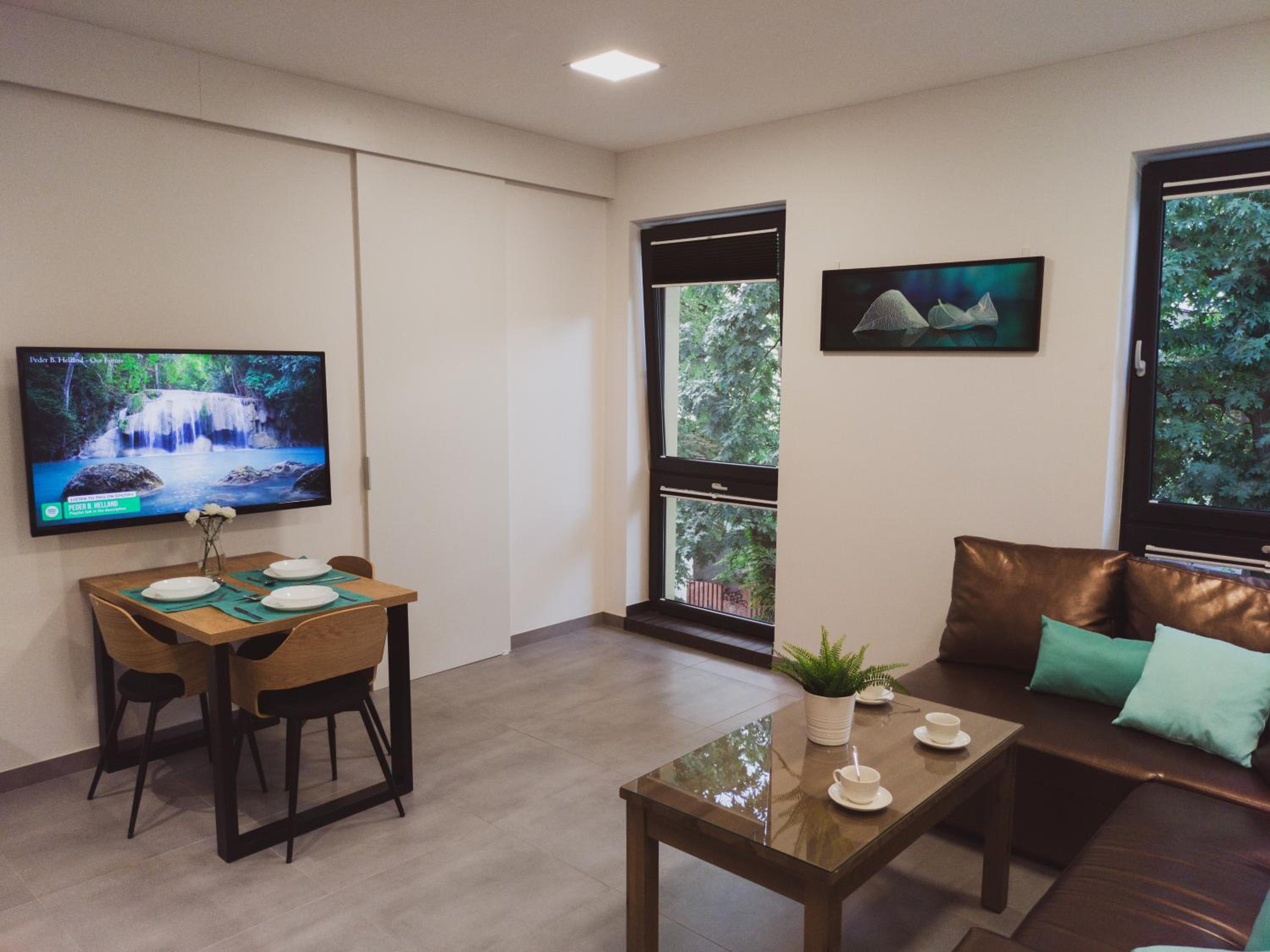 Deluxe Apartment