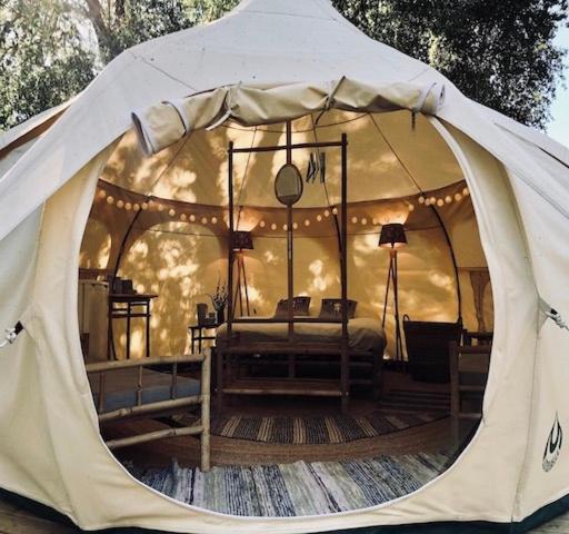 Glamping Tent with Ocean View photo 1