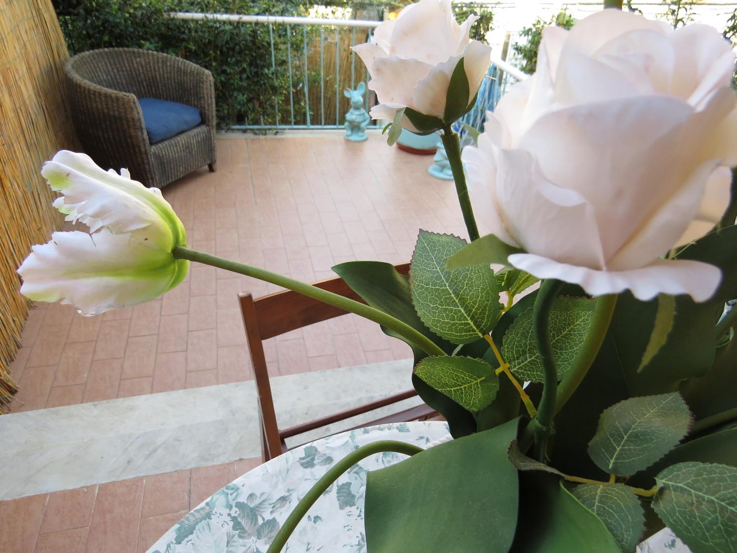 Apartment with Terrace