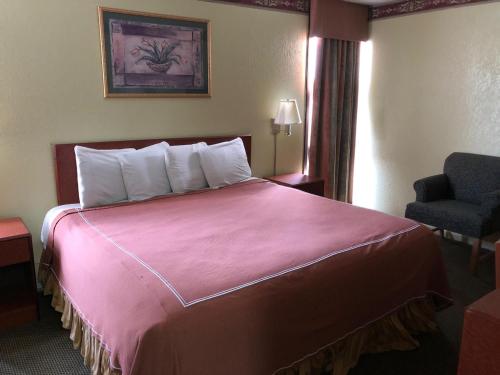 King Room photo 1