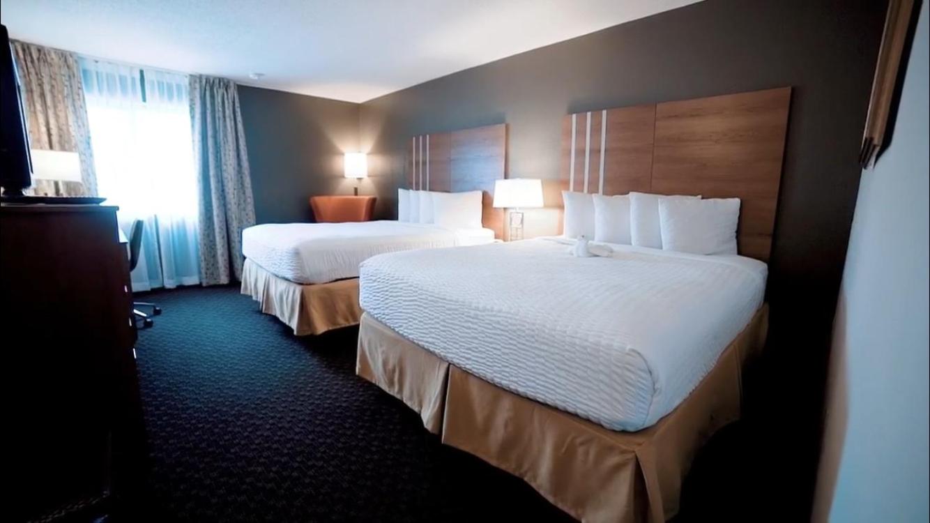 Standard Queen Room with Two Queen Beds - Non Smoking  photo 2