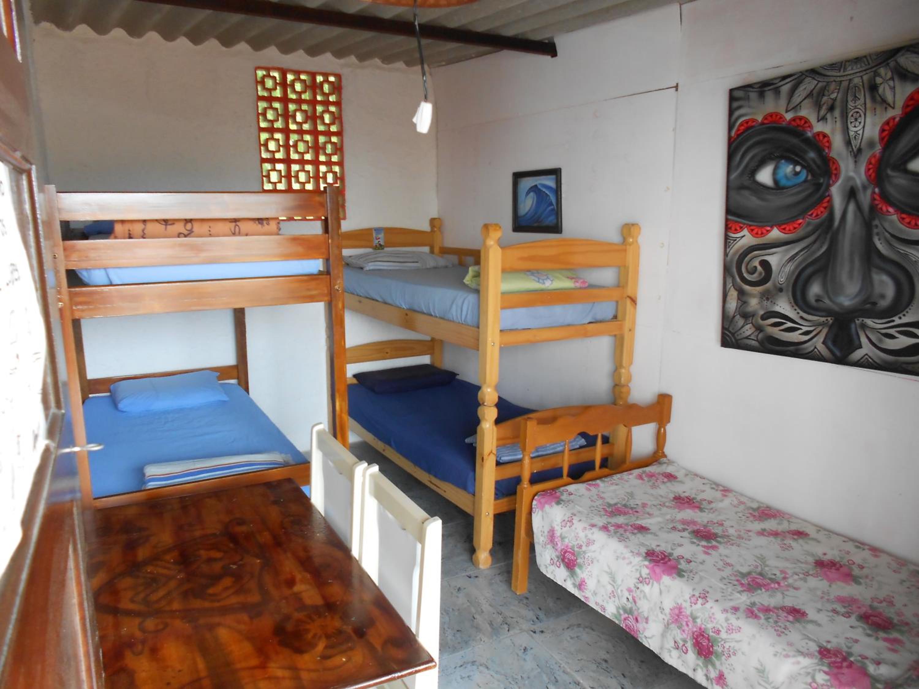 Bunk Bed in Mixed Dormitory Room