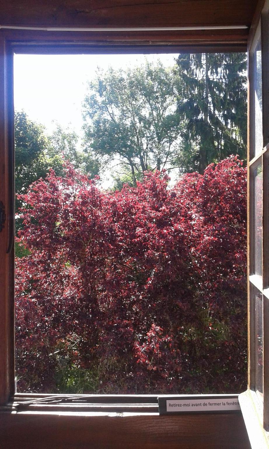 Double Room with Garden View - Photo 1