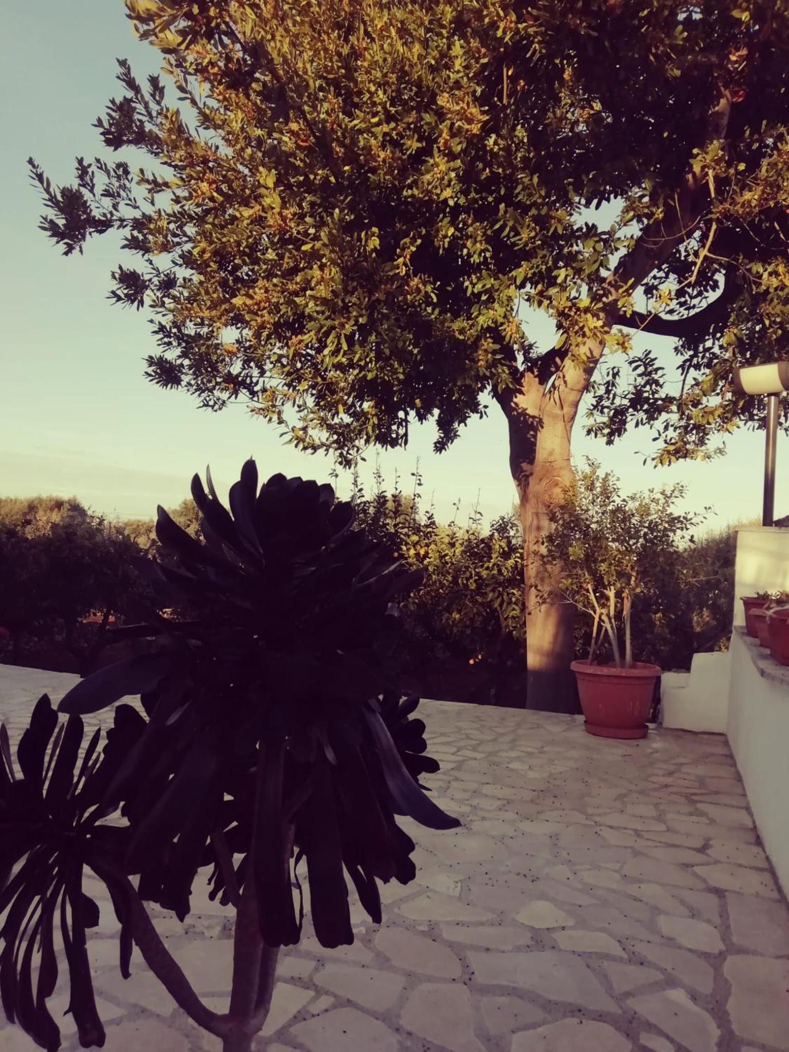 Holiday Home - Photo 4