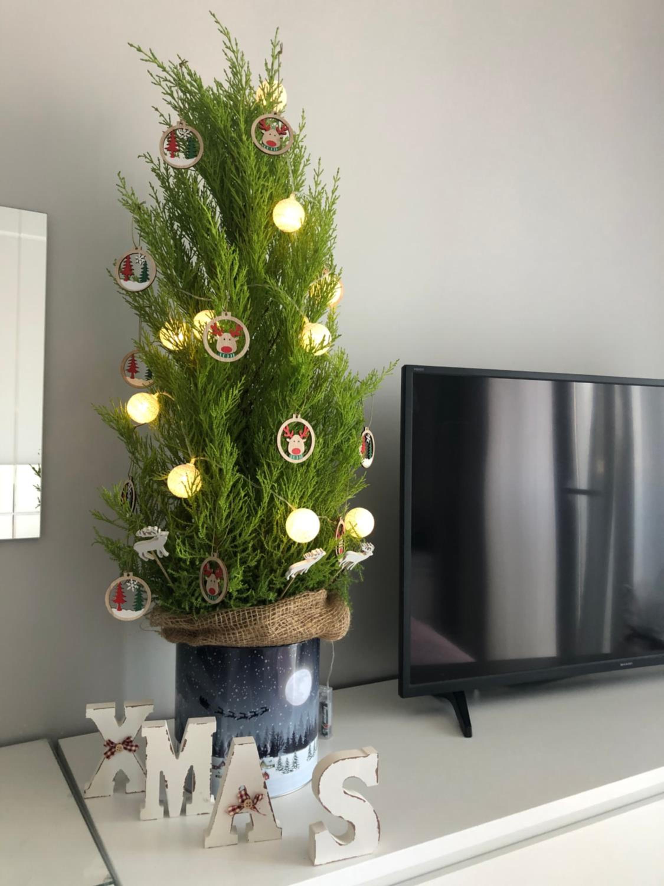 Apartment - Photo 8