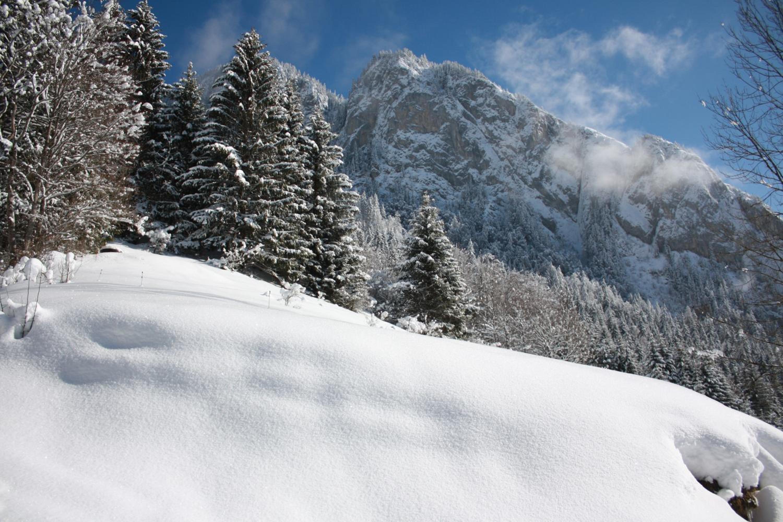 Superior Chalet photo 3