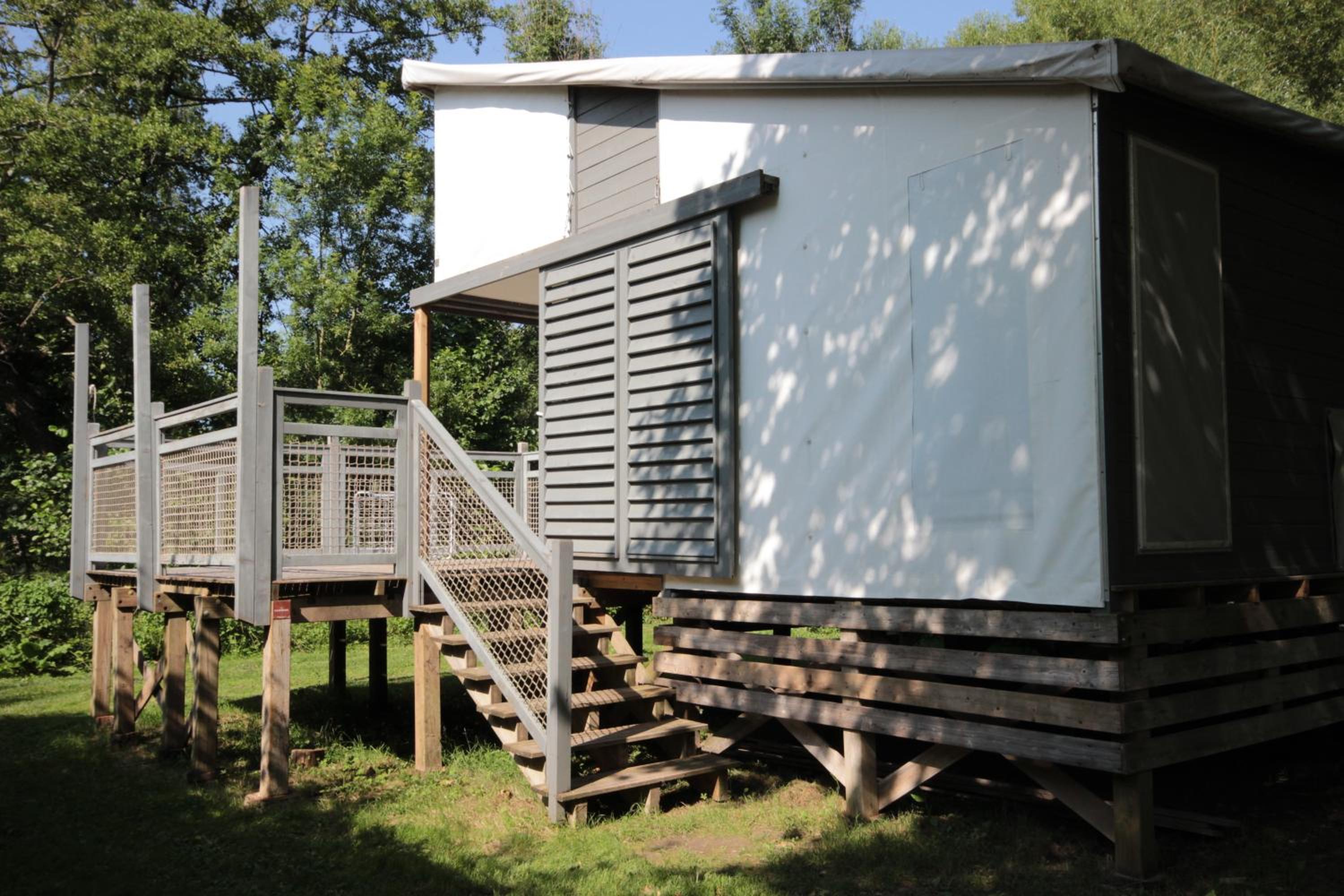 Three-Bedroom Chalet photo 2