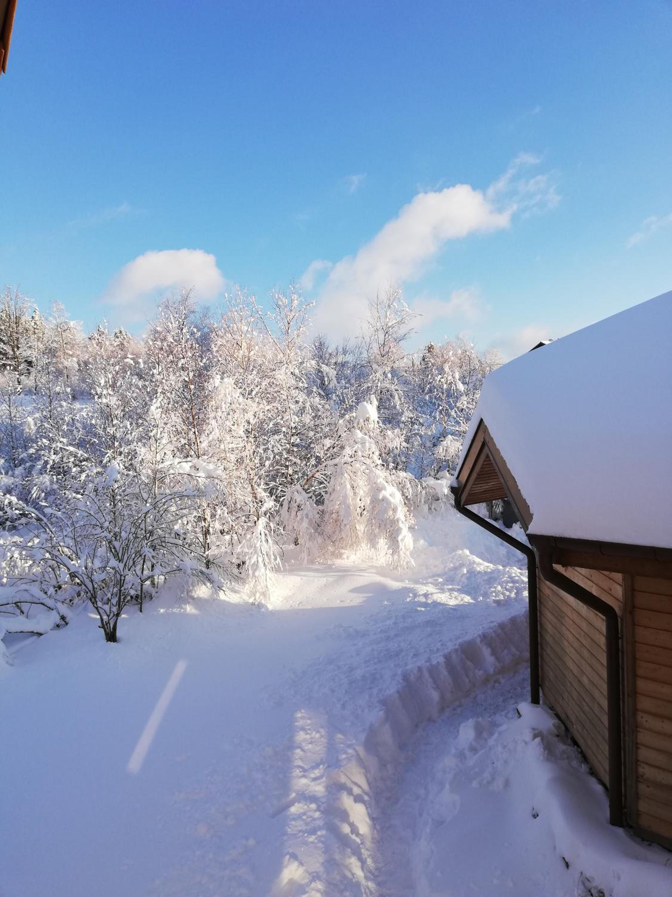 Chalet - la Délicate  photo 1