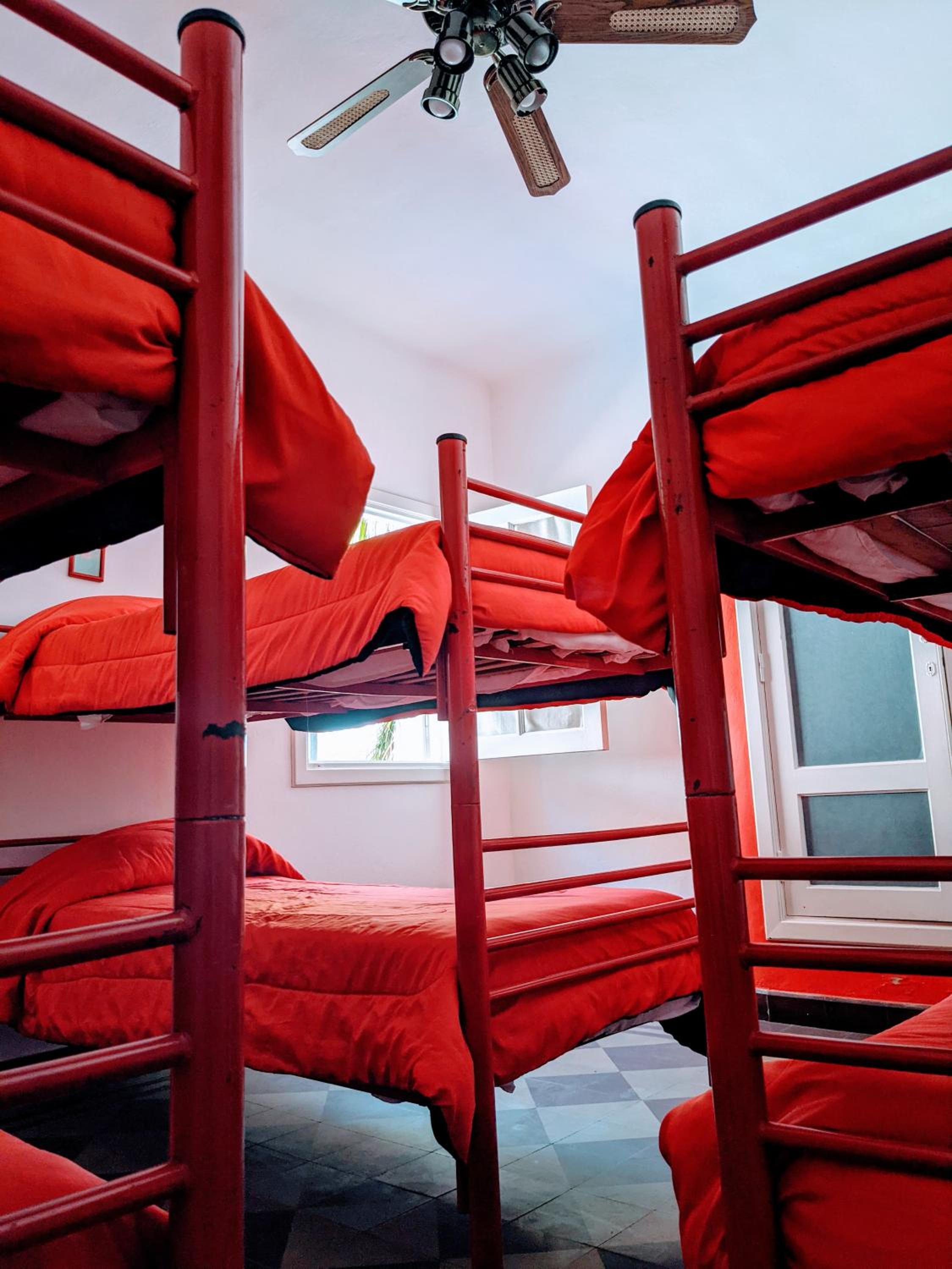 Bed in 6-Bed Female Dormitory Room photo 1