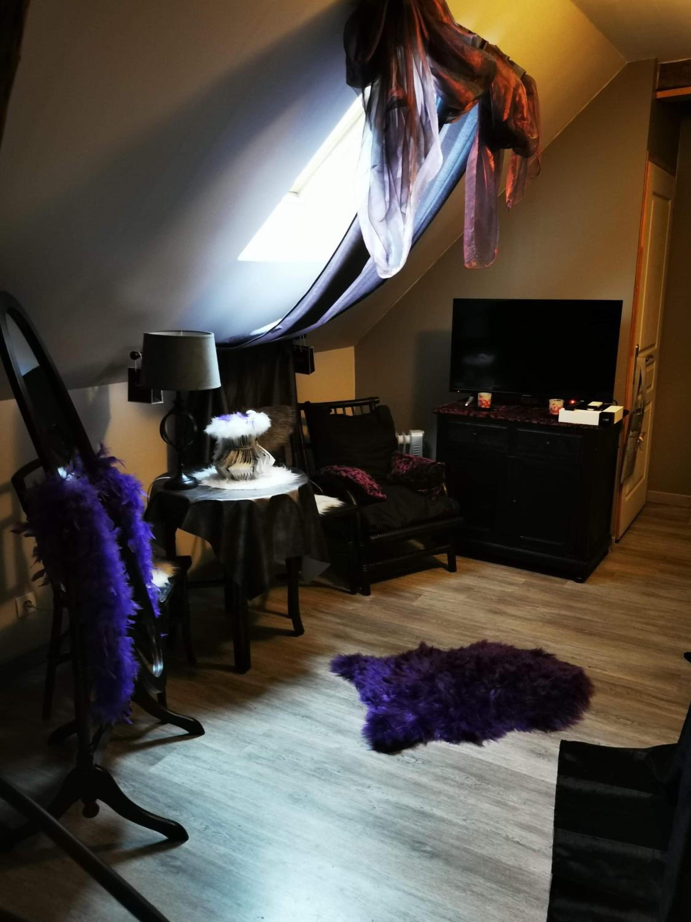 Deluxe Double or Twin Room photo 3