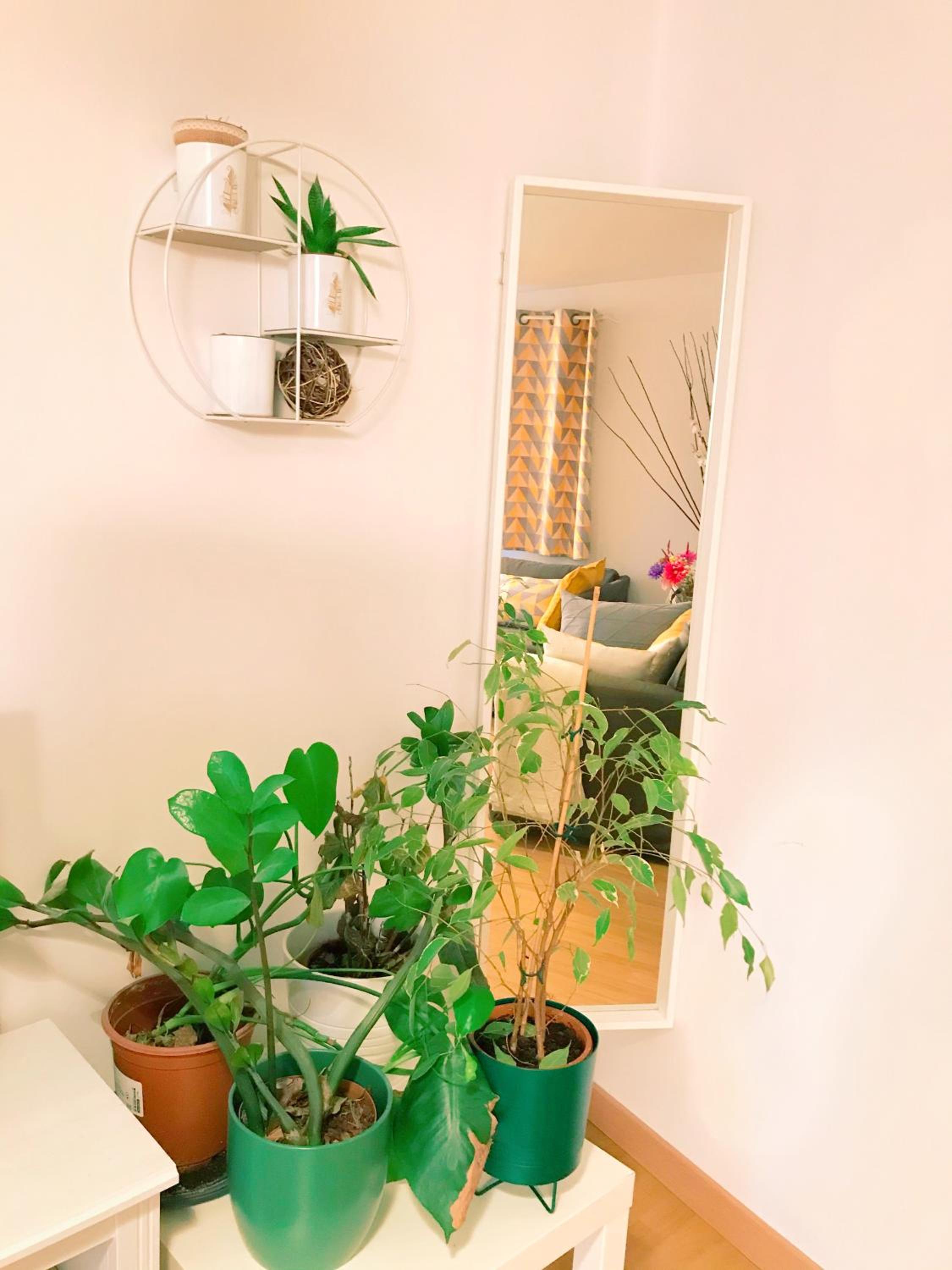 Apartment photo 1