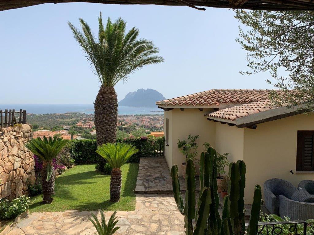 Three-Bedroom Villa photo 1