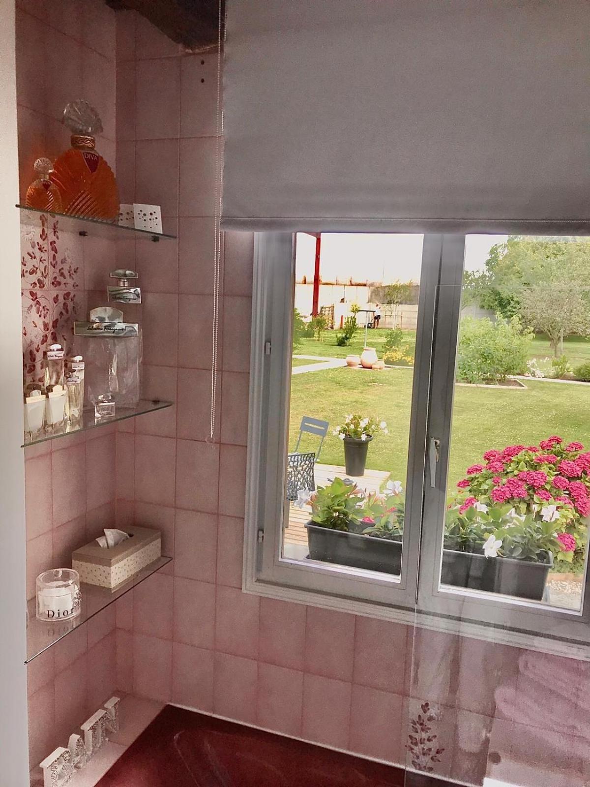 Suite with Terrace photo 2