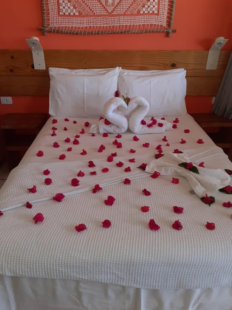 Standard Suite - Photo 2
