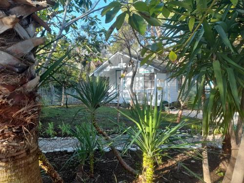 Bungalow - Water Front (2 Adults) - Photo 9