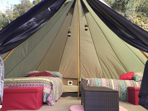 Tent photo 3