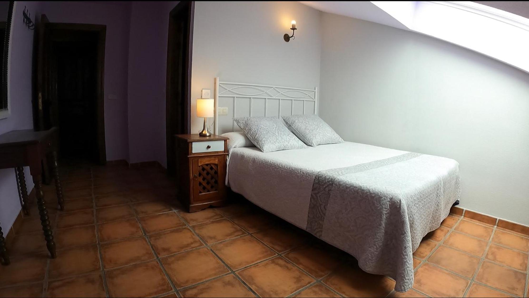 Single Room photo 2