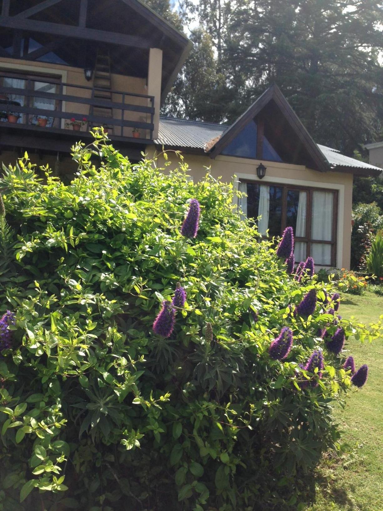 Three-Bedroom House photo 2