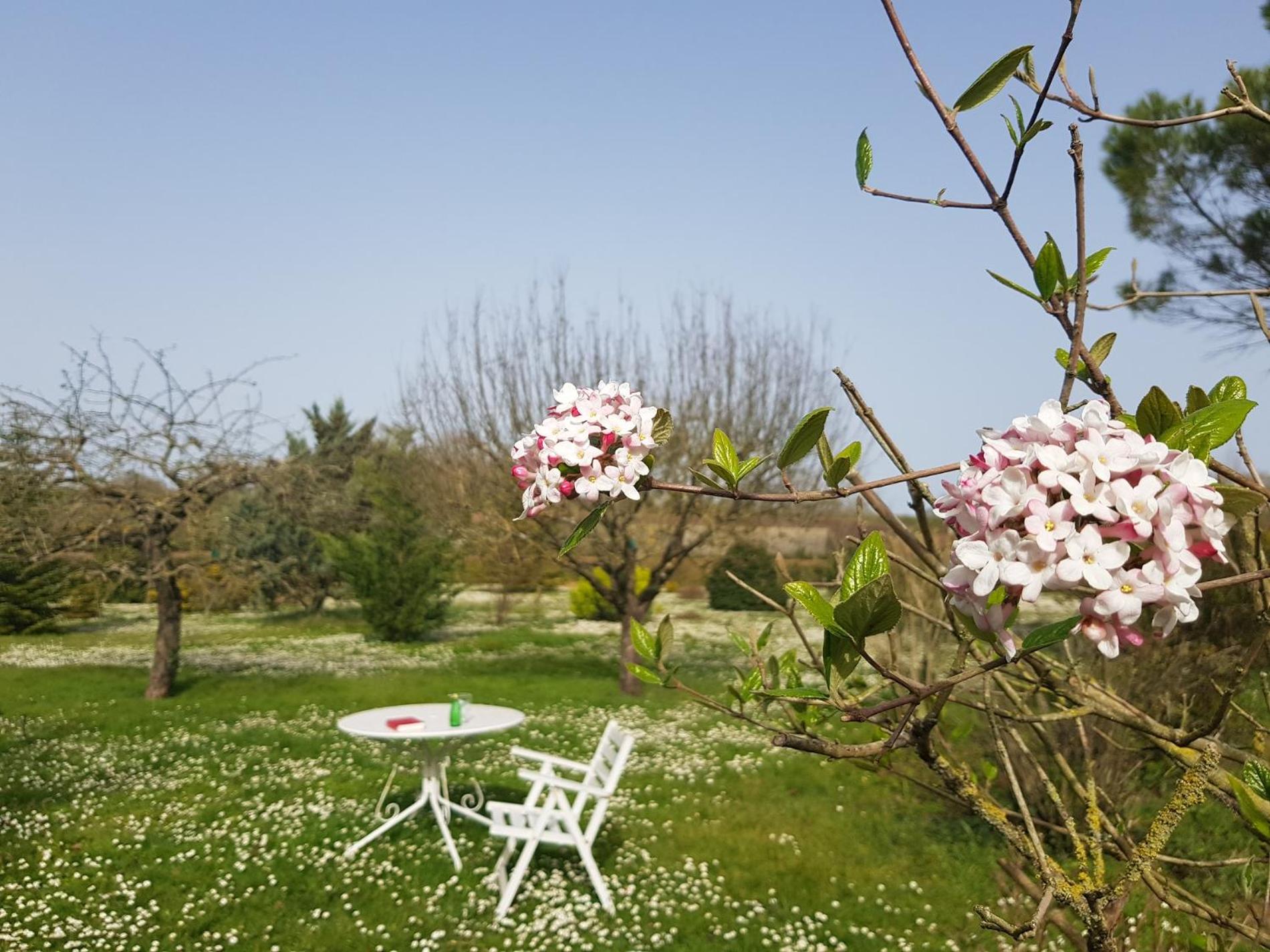 Quadruple Room with Garden View photo 2