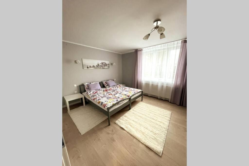 One-Bedroom Apartment photo 3