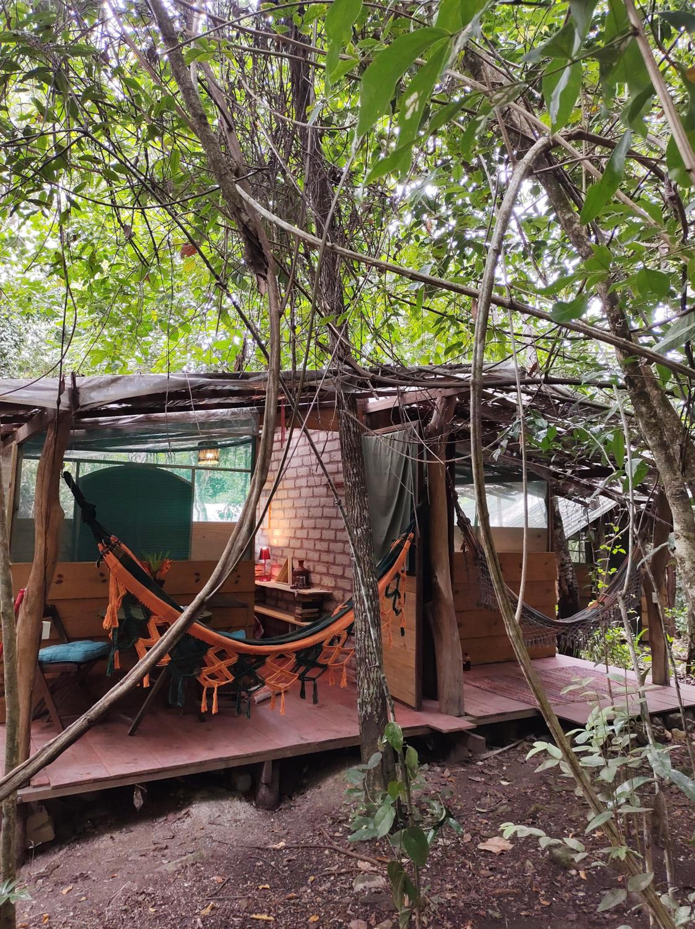 Bungalow with Garden View photo 2