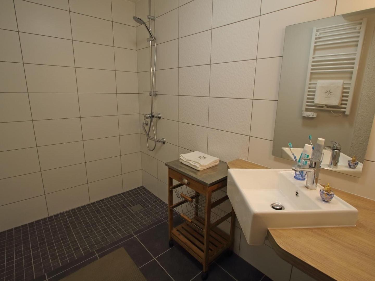 Standard Apartment photo 3