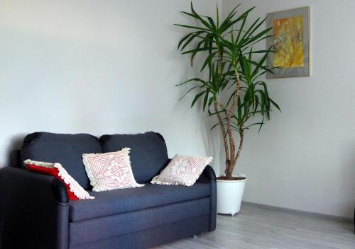 One-Bedroom Apartment with Terrace and Private Entrance
