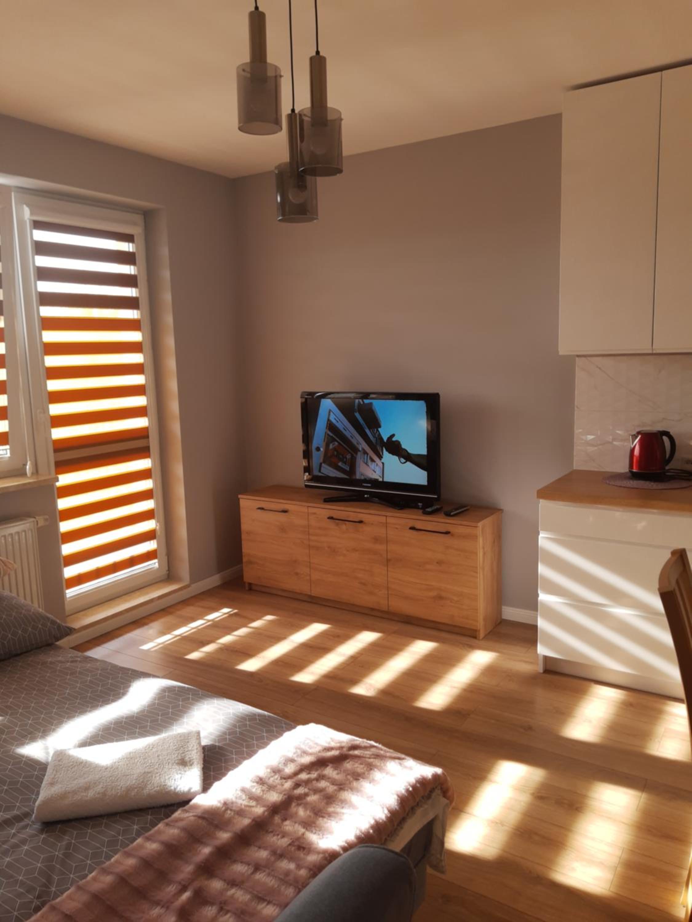 One-Bedroom Apartment - Photo 5