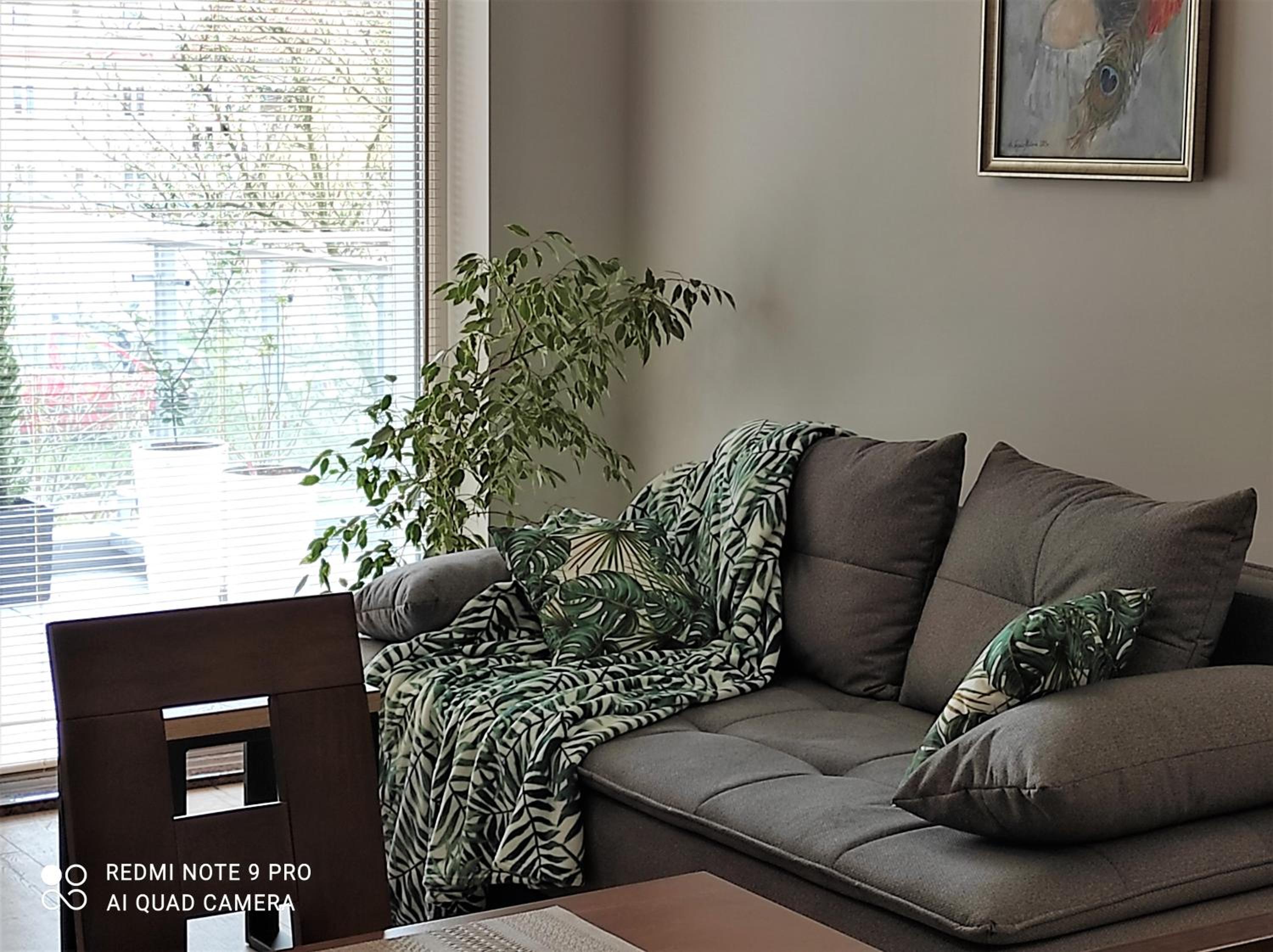 Apartment - Photo 4