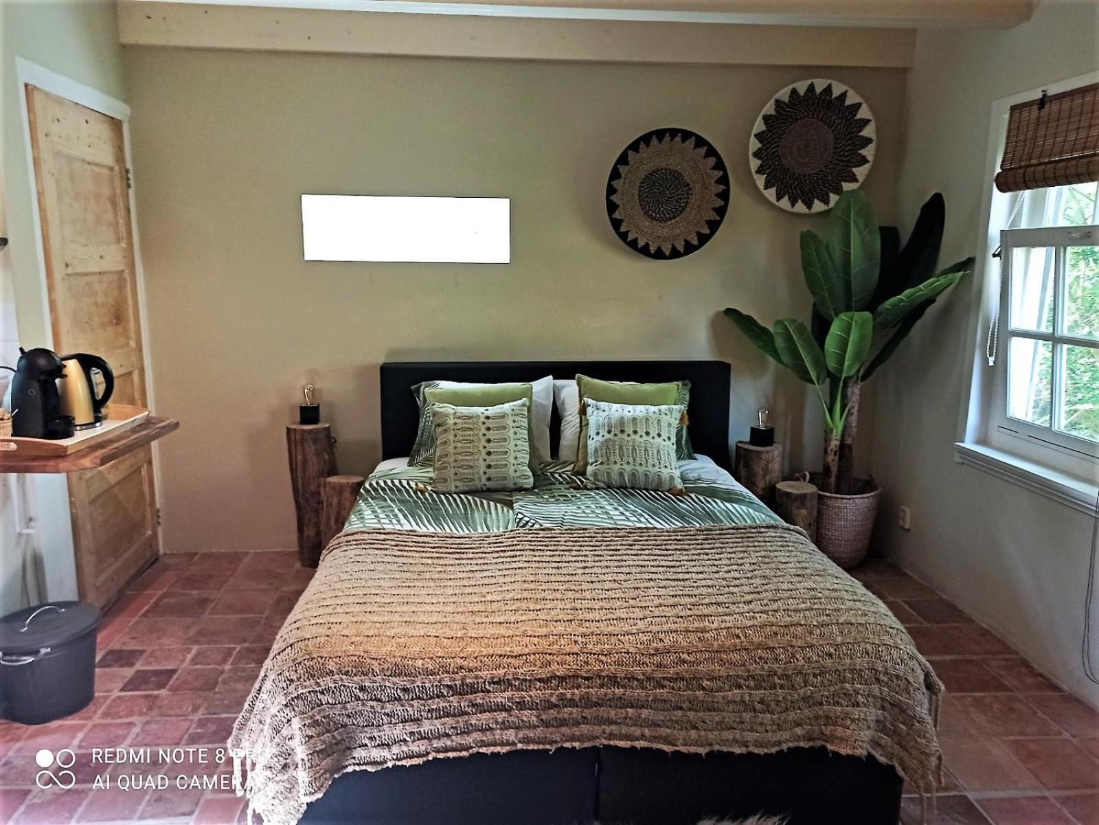 Double Room with Terrace photo 3