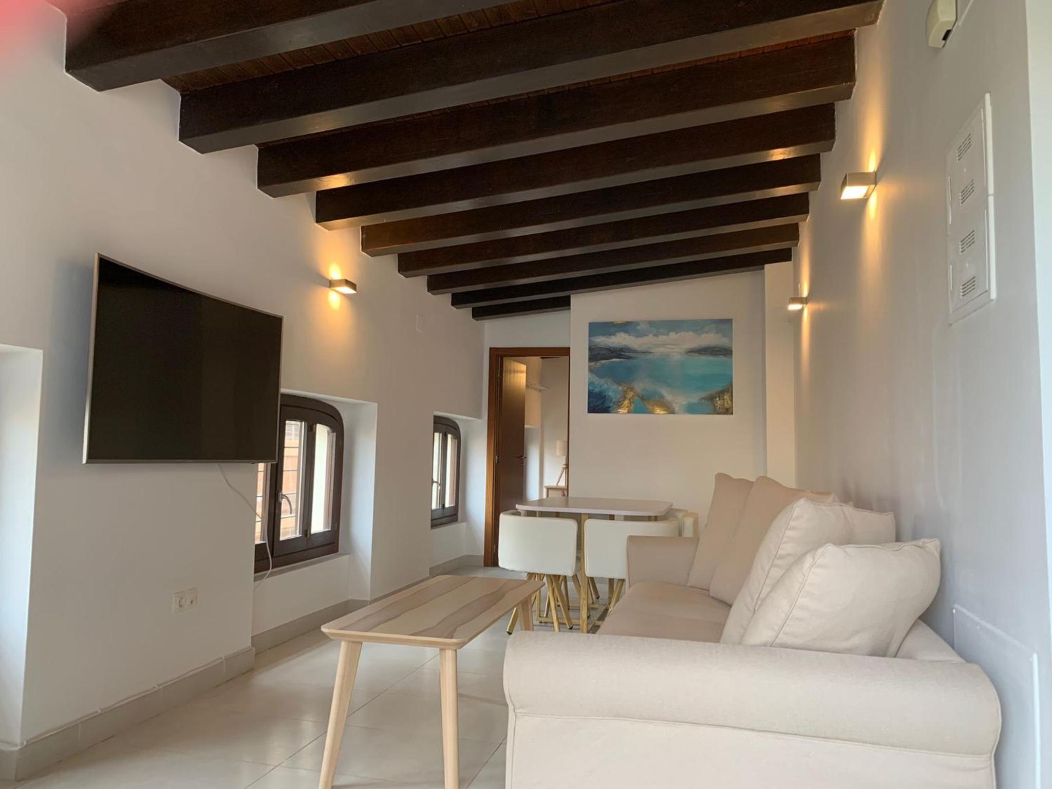 Penthouse Apartment