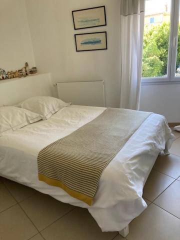 Standard Double Room with Fan photo 1