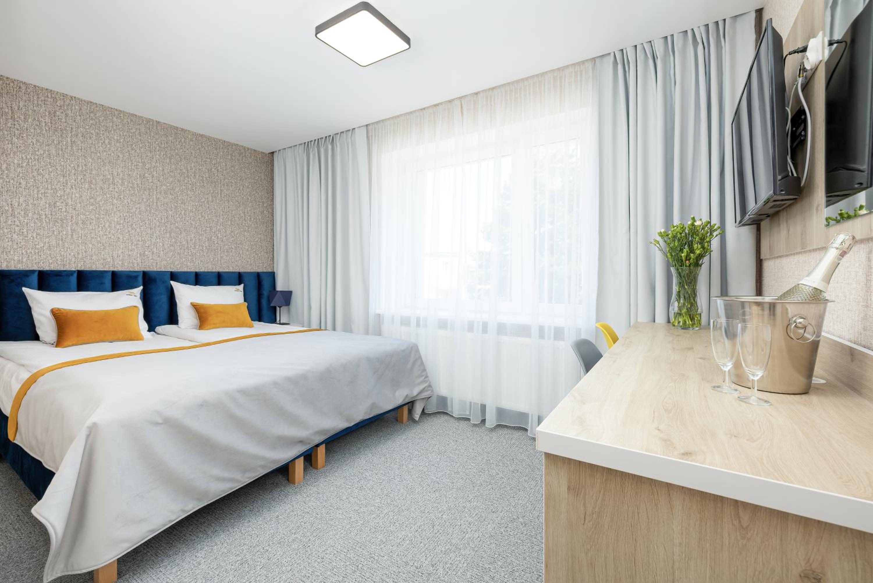 Deluxe Double Room photo 1
