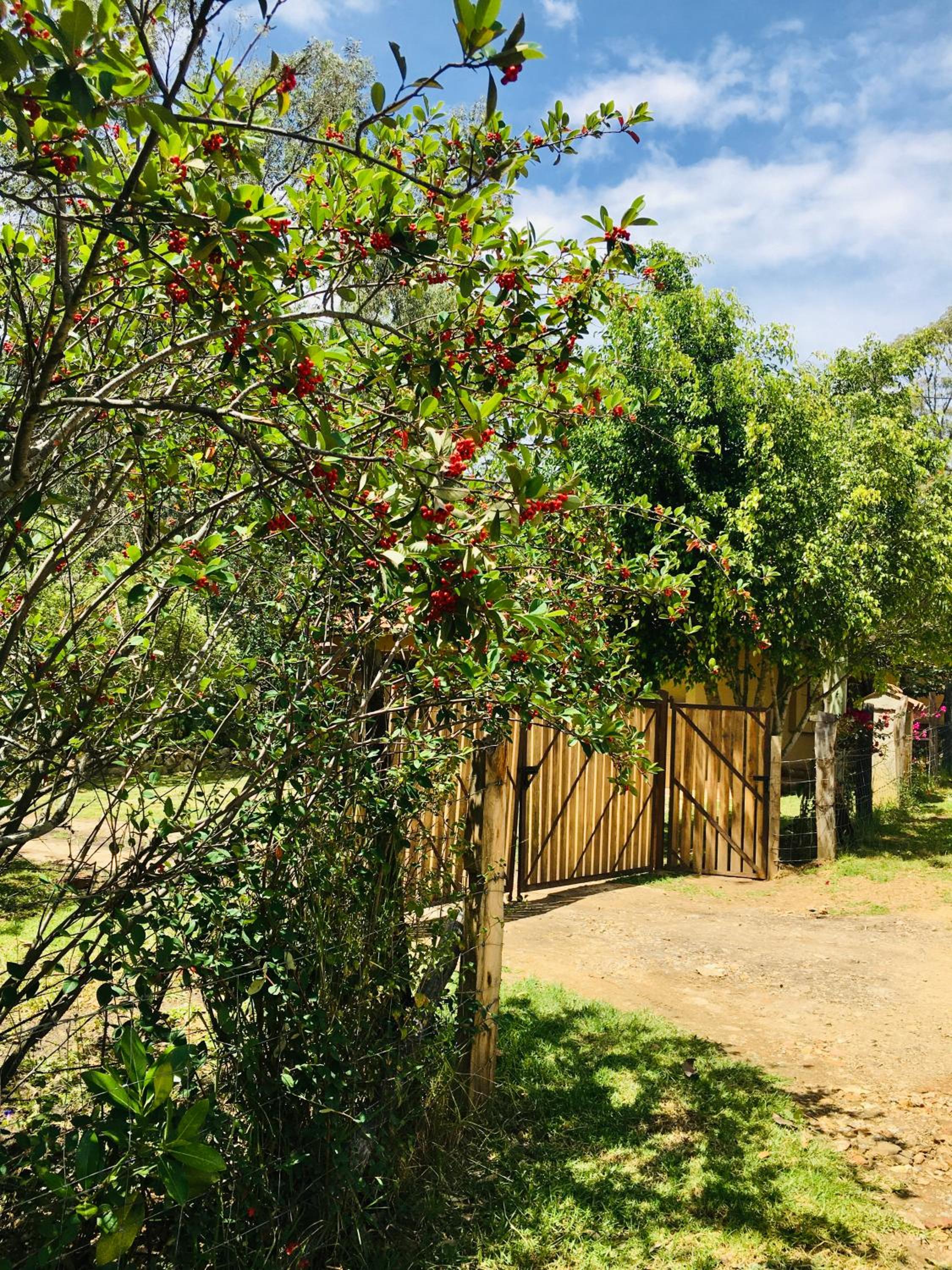 Holiday Home photo 1
