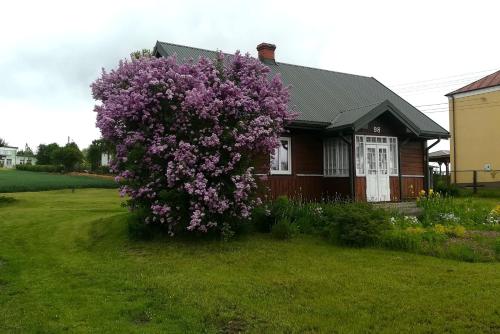 Holiday Home photo 1
