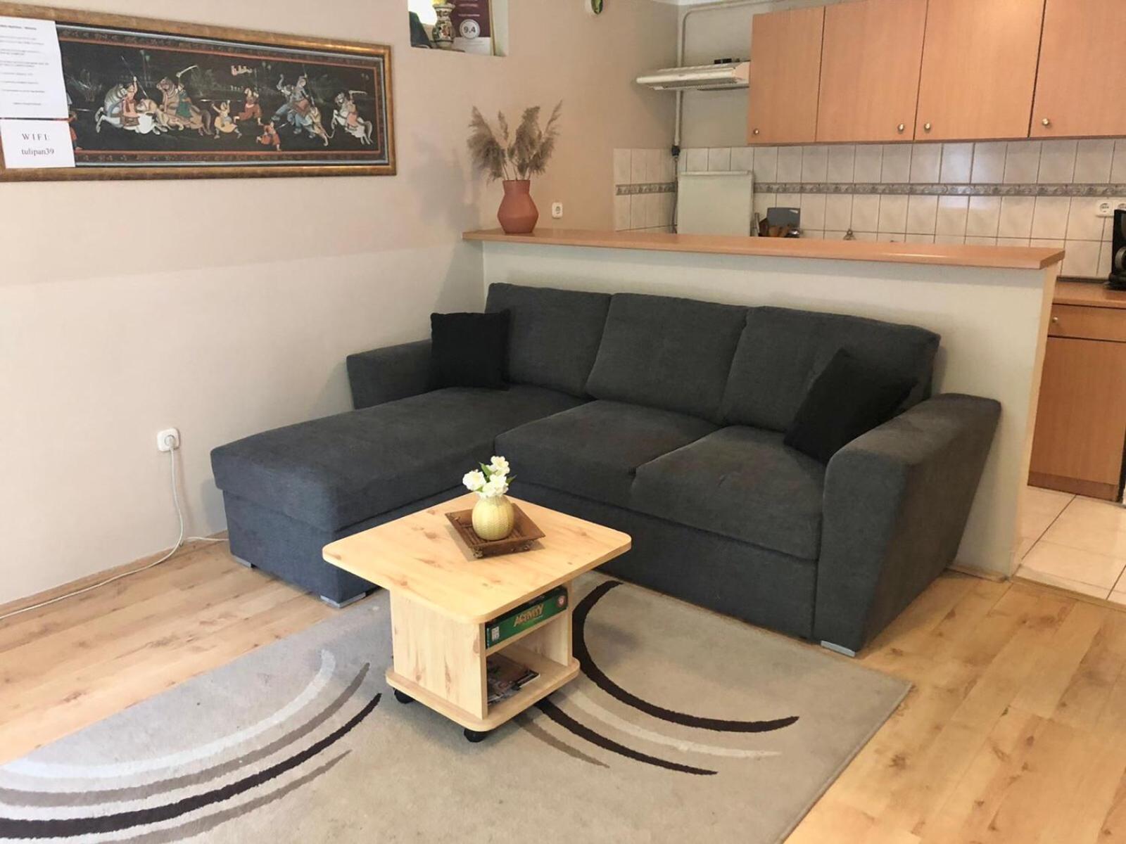 Studio with Garden View