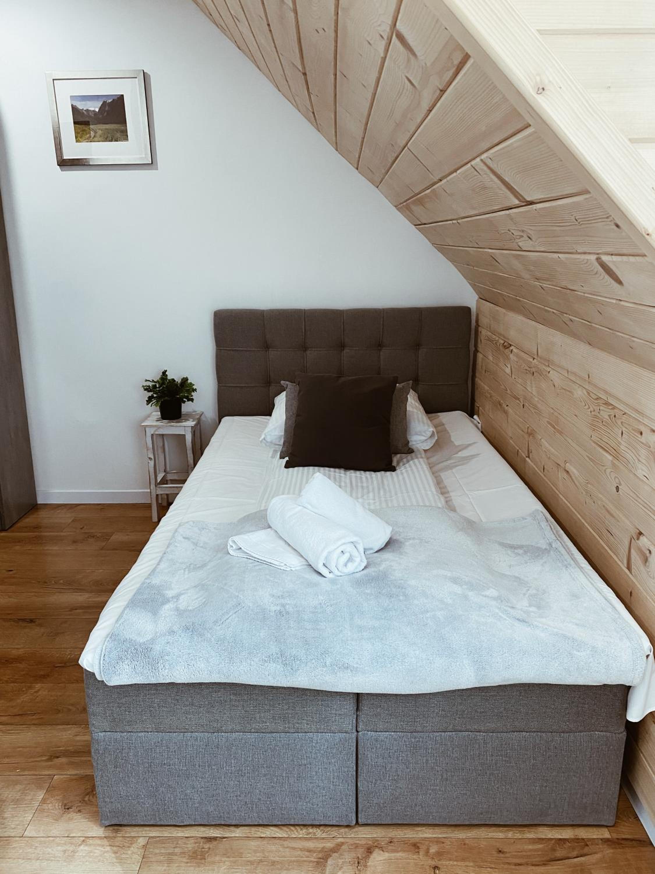 Single Room photo 3