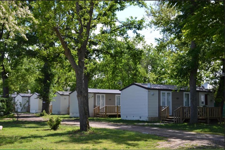 Mobile Home photo 1