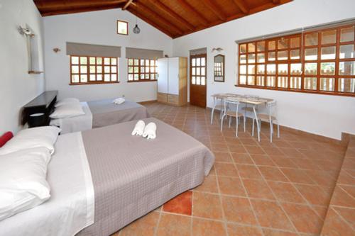 One-Bedroom Apartment - Photo 9