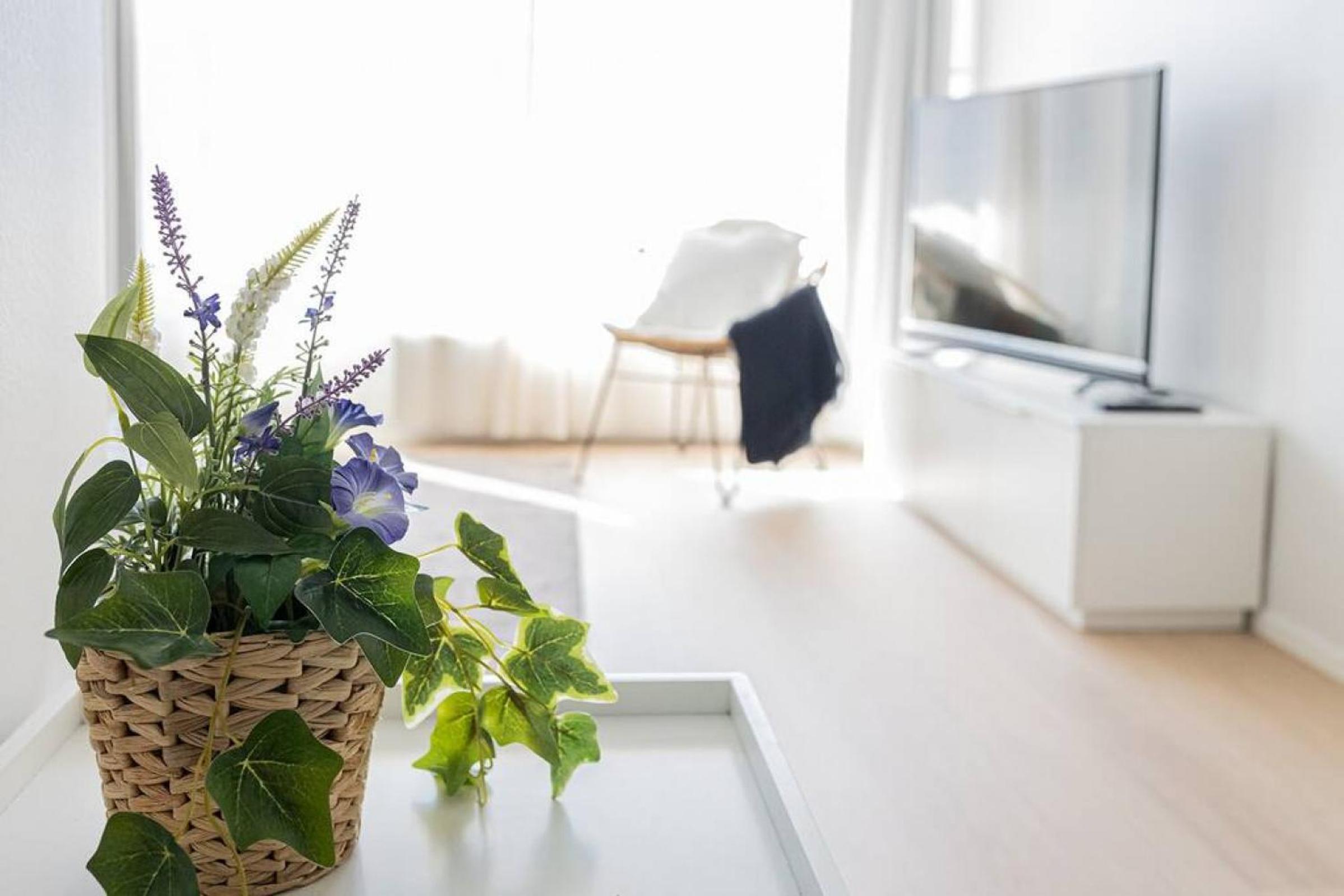 Apartment with Sauna photo 3
