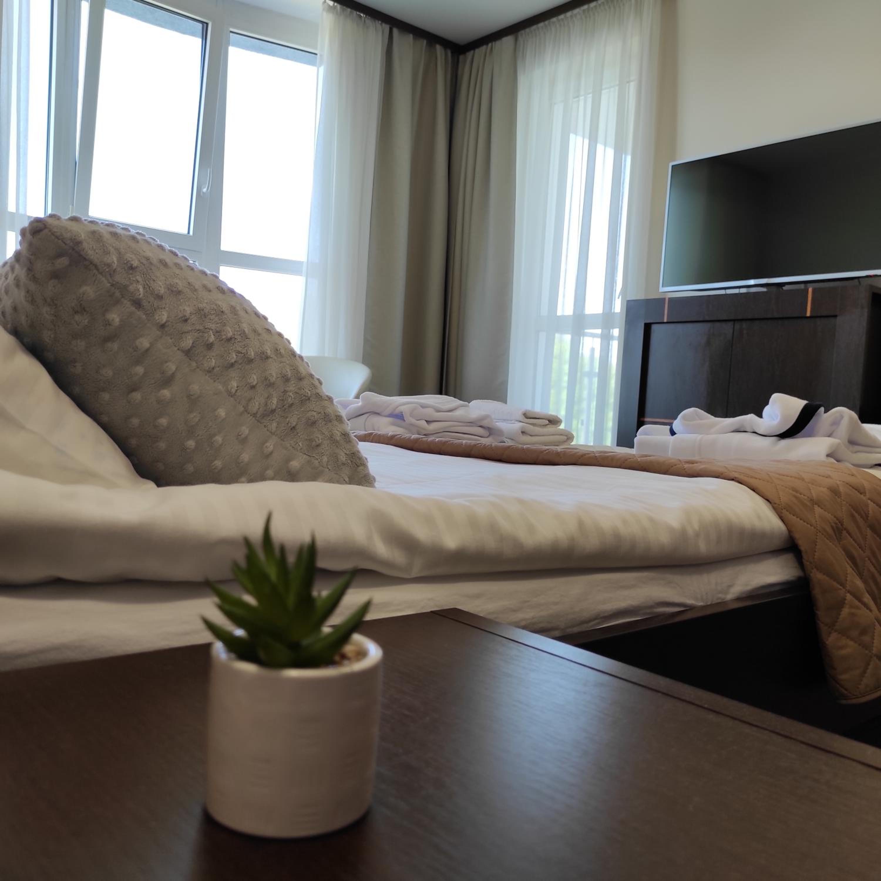 One-Bedroom Apartment - Photo 15