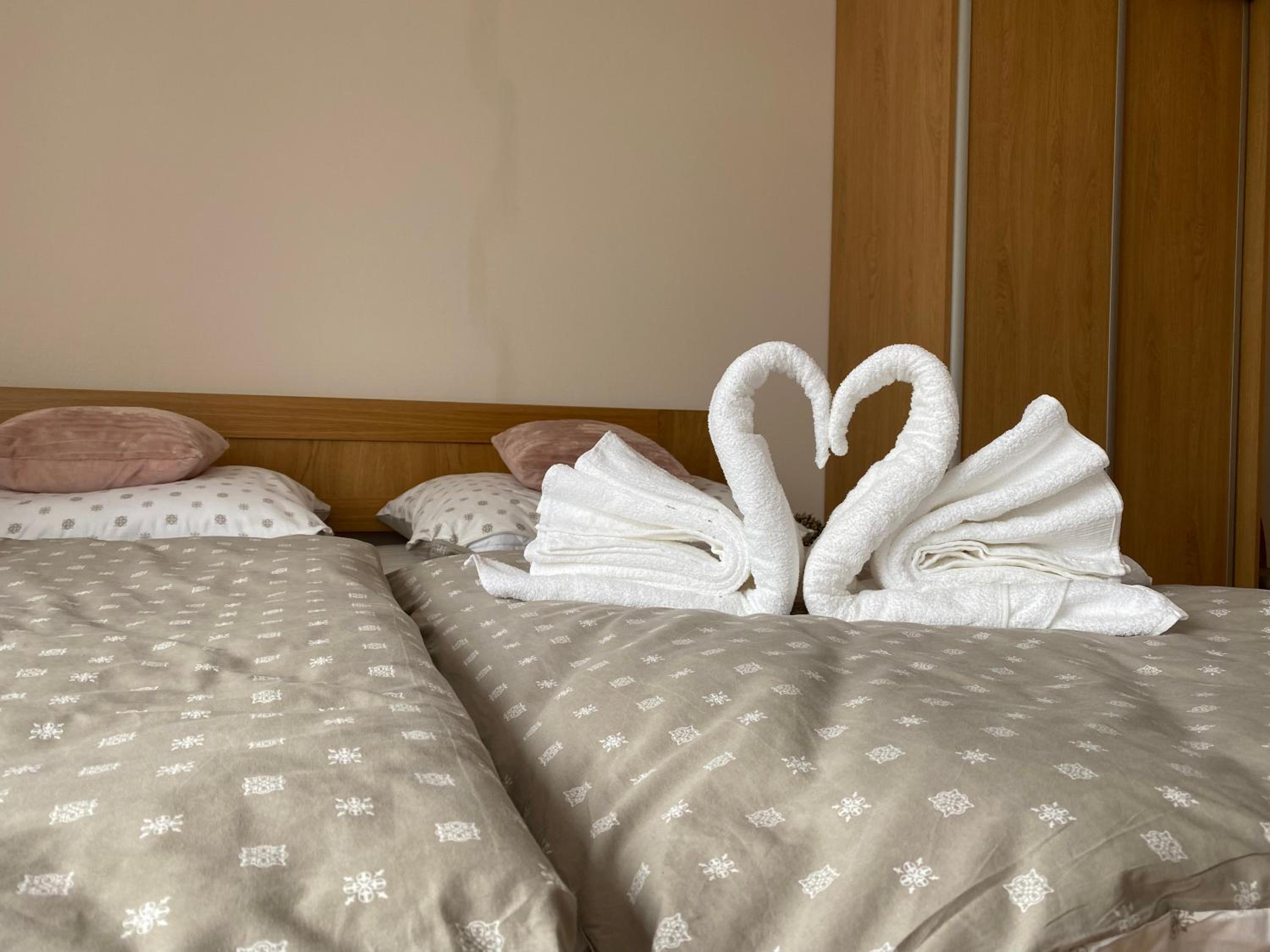 Twin Room photo 3