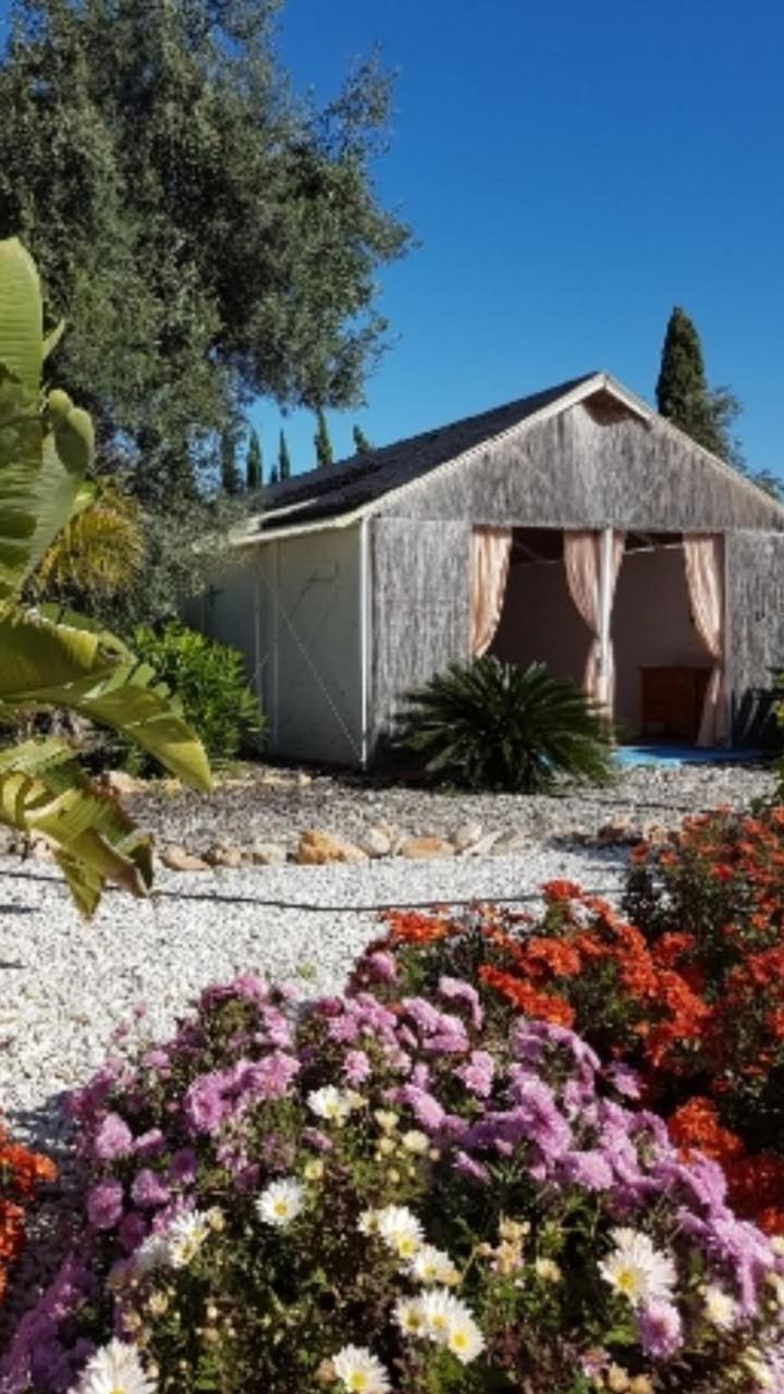 Three-Bedroom Chalet photo 1