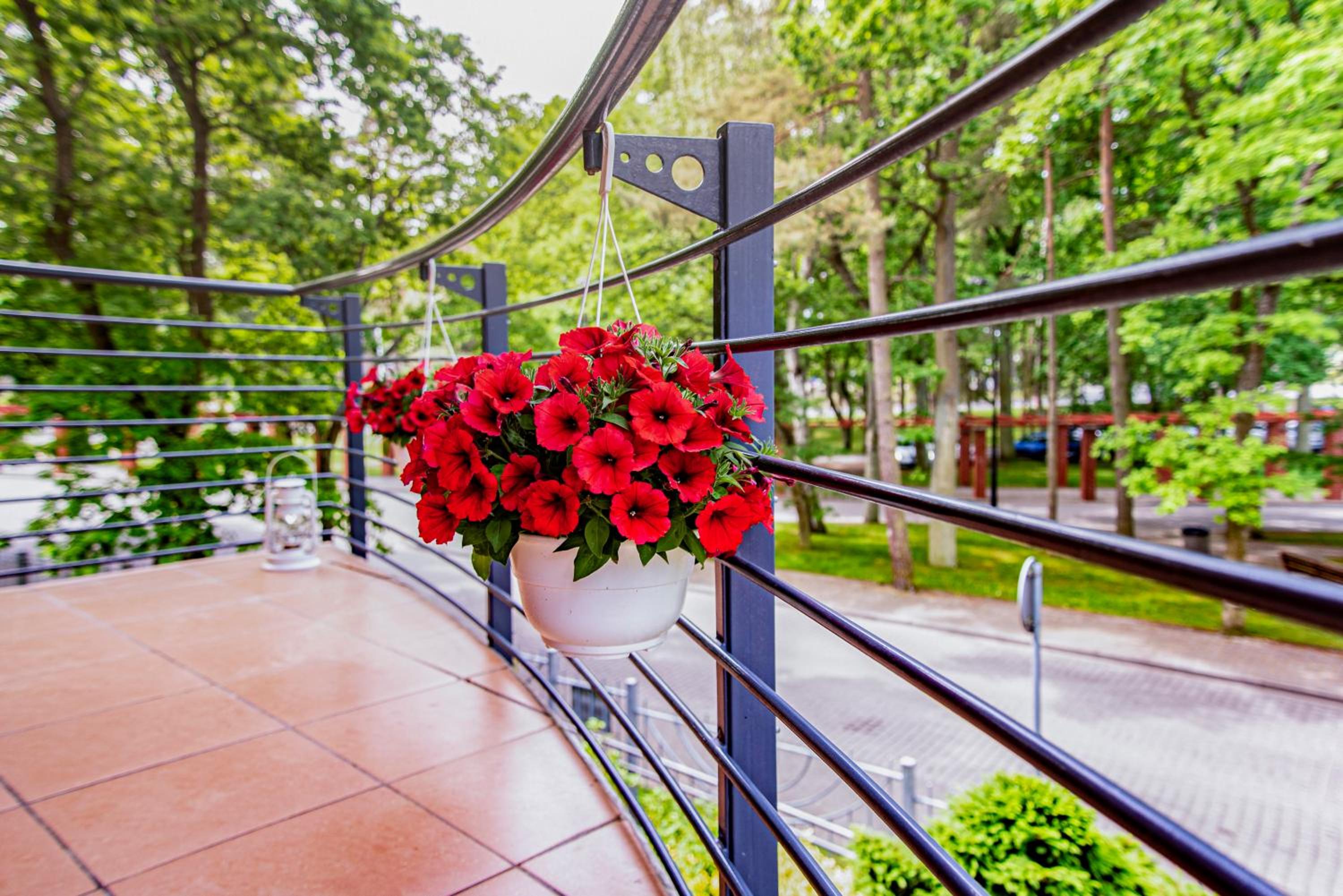 Apartment with Balcony - Photo 8