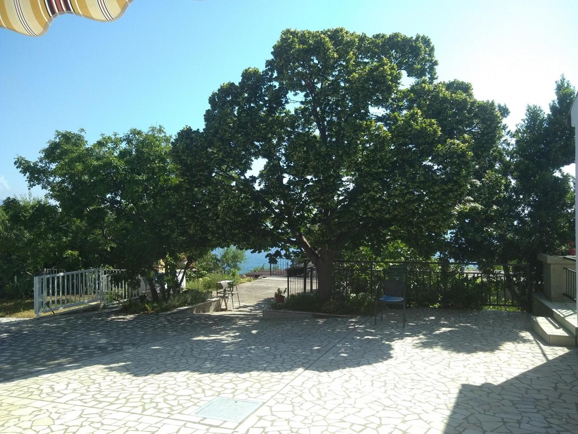 Apartment with Sea View photo 1
