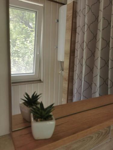 One-Bedroom Apartment - Photo 4