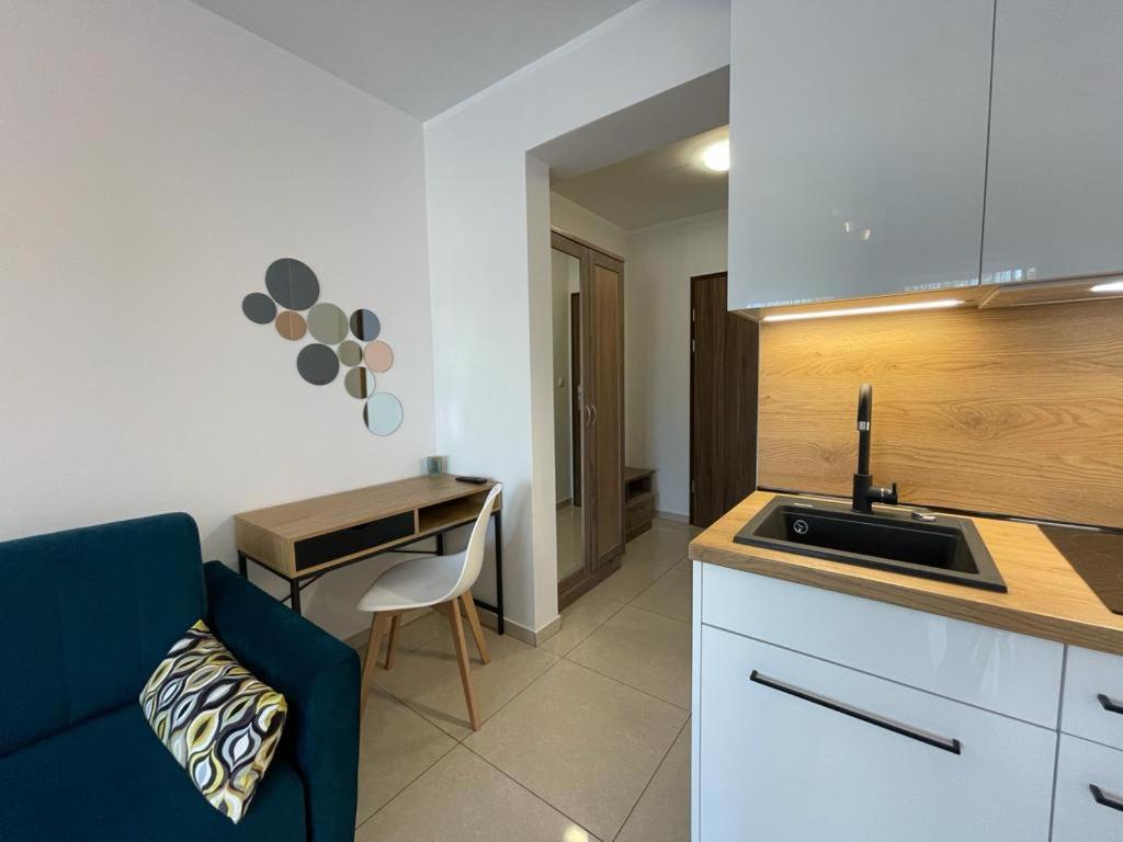 One-Bedroom Apartment photo 3