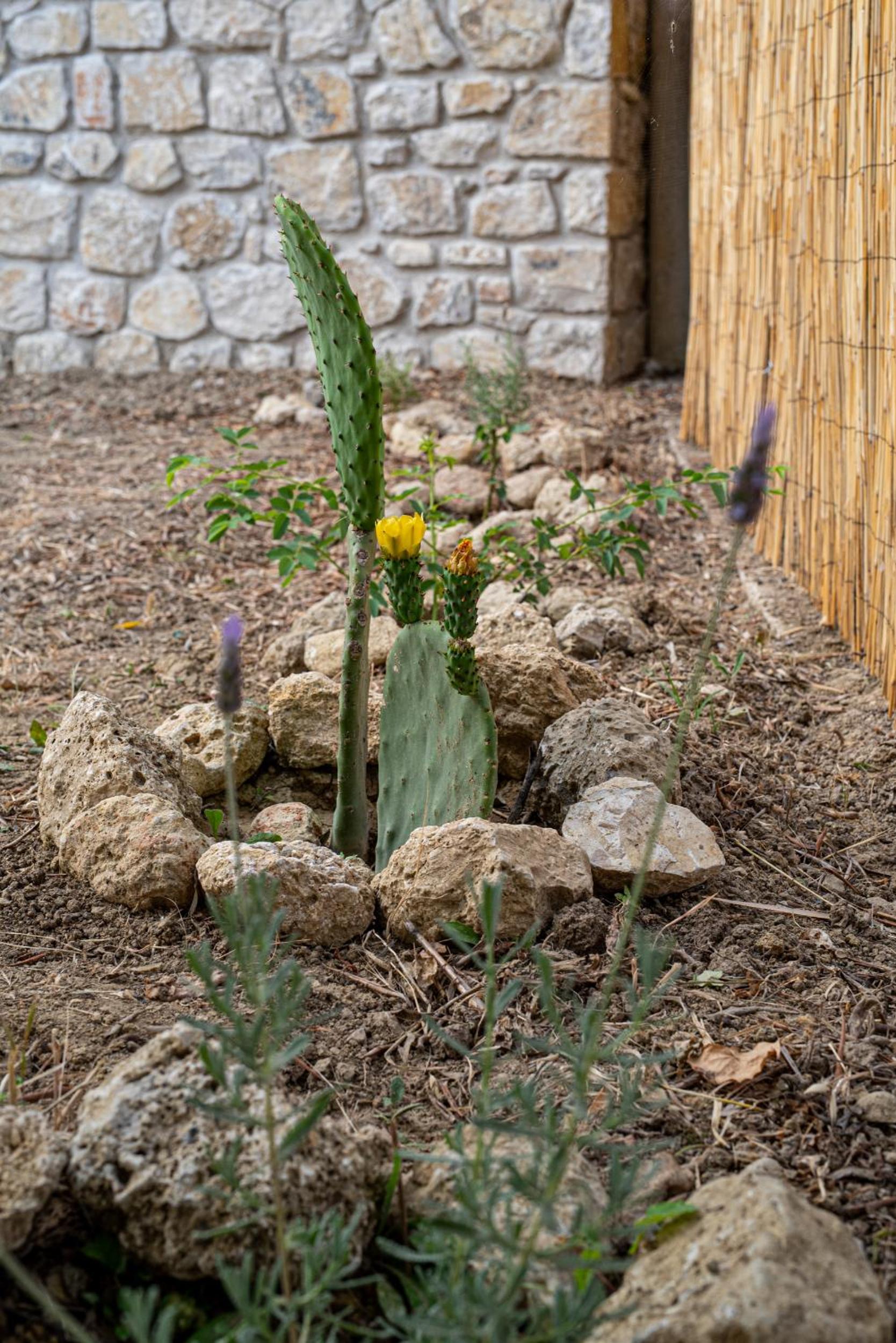 Deluxe Apartment - Photo 3